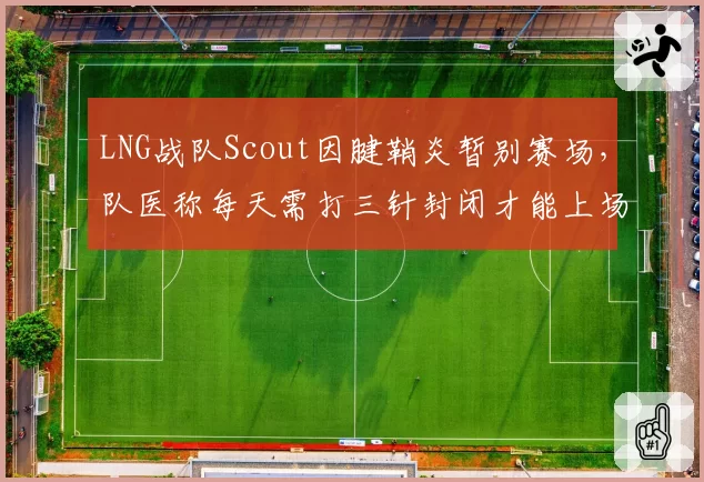 LNG战队Scout因腱鞘炎暂别赛场，队医称每天需打三针封闭才能上场