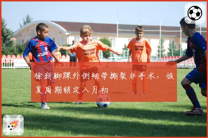 徐新脚踝外侧韧带撕裂非手术,恢复周期锁定八月初